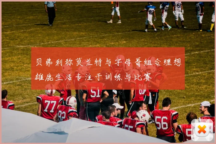 贝弗利称莫兰特与字母哥组合理想雄鹿生活专注于训练与比赛